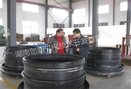 CX T 100T 3 ZJ50DBT牽引車橋
