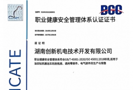 職業(yè)健康體系